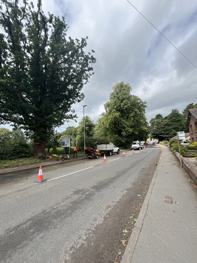 Tree surgeon ground crew operating wood chipper during crown reduction, roadside tree work with safety cones and high-vis PPE