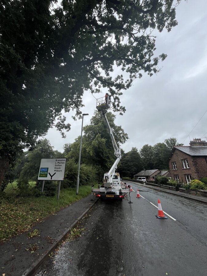 Roadside tree felling with cherry picker near Penrith Cumbria, tree surgeon trimming overhanging branches on A-road with traffic management